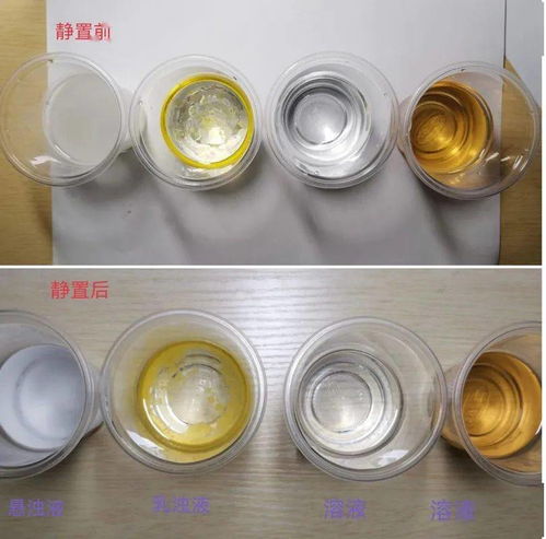 展學(xué)科實(shí)踐性作業(yè) 亮航中學(xué)子風(fēng)采